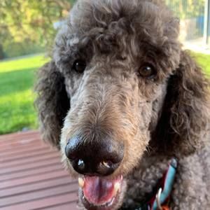 Meet your Posher, Jen